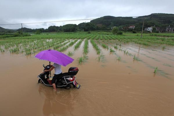 南方暴雨北方高温源起厄尔尼诺 将影响中国粮食生产